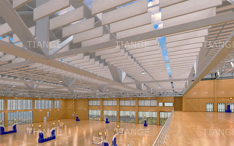 Acoustic Baffles Ceiling