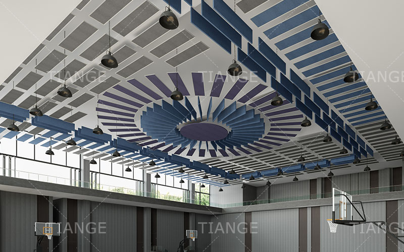 Acoustic Baffles Ceiling